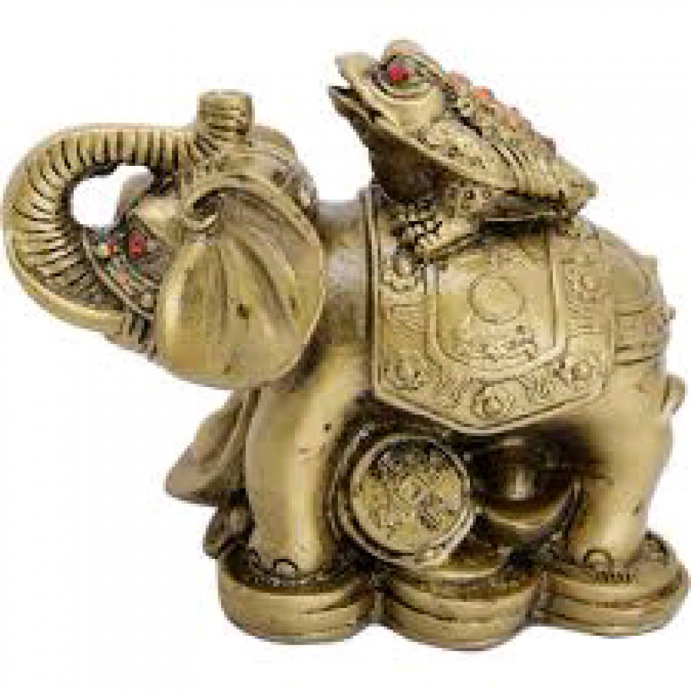 Frog with Elephant